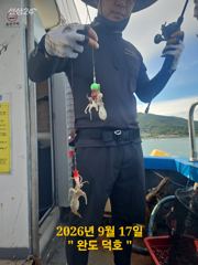 완도덕호 9.17 쭈꾸미
