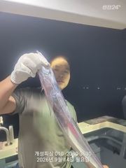 은빛 텐빈 내만갈치 느나느나 조황 내일 무조건 출항 자리여유많음