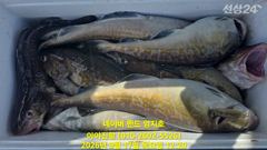 2026 09 17 대구라바