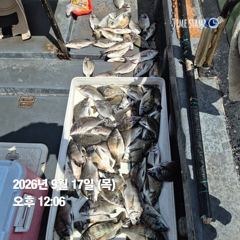 2시간전 [사천] 9월17일 실시간 주꾸미사냥중에있습니다~ 내일3자리여유 담주 자리널널해요~^^