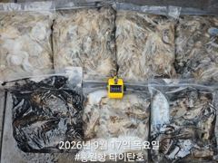[홍원항타이탄호] 9월17일(목) 쭈꾸미.갑오징어 조황입니다.