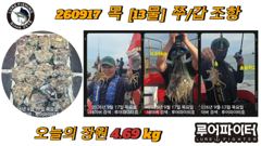 쭈.갑 먹물조황+ - - 쭈꾸미 HIT - 17일 계속되는 대박조황 ^^