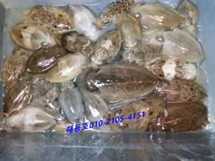 26년9월18일조황
