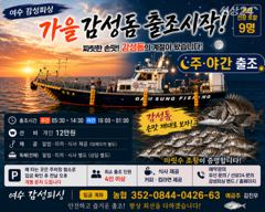19일(토)마릿수감성돔출조합니다