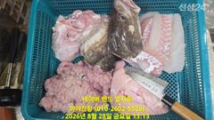대구라바 선비 인하 합니다 7만원