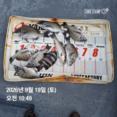 [남해] 히트호 노도 갯바위 조황