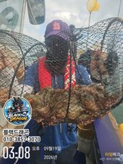 삼천포 돌문어 훌륭합니다 ~~(월욜 갑오징어)