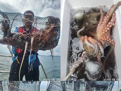 문어,비바람에도,키로,중치,120수,왕창,,(월,가능)