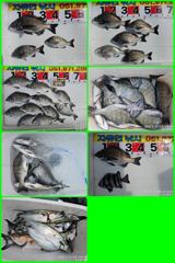 09.19 [통영] 감시와 뺀치