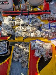9월 19일 조과입니다
