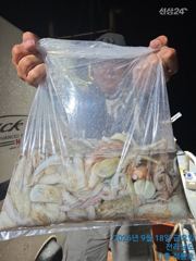 18일 오후반 조황 올려드려요