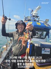 통영 금정호 오후 문어도 재미나게 시작합니다 내일 오전 자리있어요~~