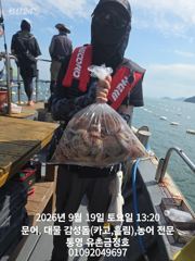 통영 금정호 오전문어 실시간 싸이즈에 마릿수 좋습니다 오늘오후 내일오전 자리있습니다