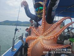 "여밭돌문어"1200gKKK 180수~ 개인22수18수15수13수13수12수등 계속 3자릿수~^^
