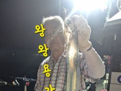 [마산] 내만갈치 맞나?! 4지에 3지들 대치들이 퍽퍽~~오늘도 달료~~