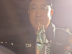 내만갈치 씨알 마릿수 많아요~~~예약가능