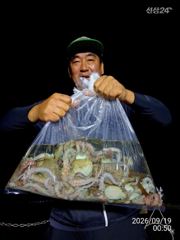 돌문어사냥 사이즈/마리수 굿굿굿! 힐링고고!