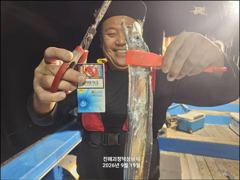 [20일입항] "내만갈치" 3지이상까지!! 씨알+마릿수 모두 굿굿굿!!! [오늘예약가능] 010-7660-2435