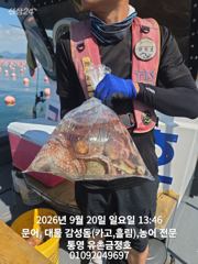 통영 금정호 문어선상 마릿수 손맛!!조황 내일오전 자리여유있습니…