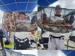 문어,160수,개인,25수,23수,22수,21수,21수,완전왕창(예약가능)