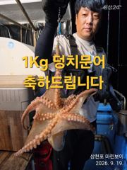 삼천포 마린보이 9.21. 월요일부터 주간 / 야간문어 계속 출항합니다