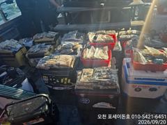 [쭈꾸미·갑오징어조황] 9/20일 오천항 포세이돈호 쭈/갑오징어 굿조황