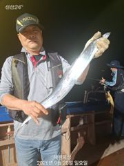 내만갈치 20일새벽 3지~3지반 많이잡았습니다 예약가능합니다