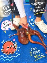 2026년9년19일 조황 당진나르샤호