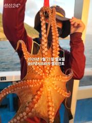 21일 주간문어~안정권~돋보이는 덩치급 문어들~망탱이조황~ 군산낚시프라자 챔피언호