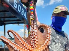 돌문어 사이즈 마리수~목요일 오전.오후