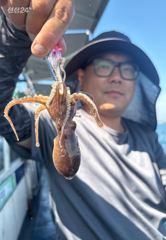 오늘 쭈꾸미 넉넉하게들 잡으셧네요