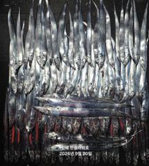 21일,입항<내만갈치>화,목,금,예약중!3.5지~4지로 묵직하게~