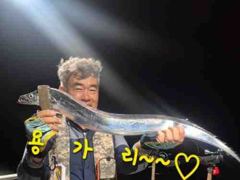 내만갈치 맞나?!연이은 호조황 3지들이 퍽퍽~사이즈 좋앙~