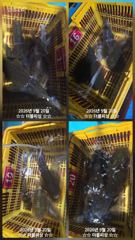 진해더블피싱 욕지권 무늬팁런 19토욜 철수조황
