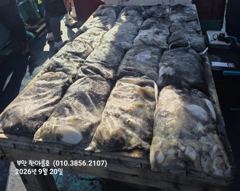 9월21일 부안 한아름호 쭈꾸미(갑이 이벤트)
