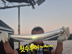 [마산] 내만갈치 사이즈 마리수 굿굿!!! 낚낚GOGO~