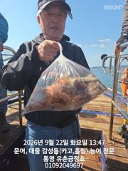 [통영] 통영 금정호 오전문어선상 마릿수 좋아지기 시작합니다 내일 오전 …