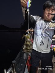 1   [거제] (무늬오징어) 팁런~102수 돌파~1등 20수 퍽퍽~수니피싱(2… 1