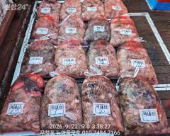 9월22일 무창포뉴아폴로호 대박 쭈꾸미망태기조황