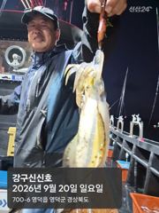 26.0920일요일 무늬오징어 조황 장원27 총285강구신신호 팁런 선상낚시