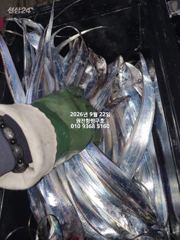 내만갈치)내만에서 이런게~요번주 쭉 달리뿝니다~예약가능