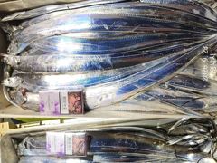 [진해] 내만갈치 미.쳤.다! 깔끔하게 쓸어담았습니다!!