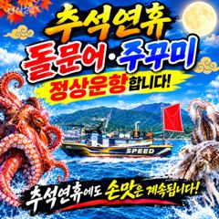 강한 바람속에 야간 문어 우당탕~잡고 왔습니다!(선수모집)