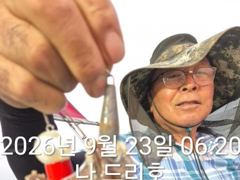 23일, 군산쭈꾸미,오늘도 잘 나오고 있어요~싸이즈 굿~실시간~~군산낚시프라자 나드리호