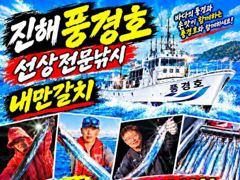 <<내만갈치>>3자리 마릿수 씨알굿 최신굳조황