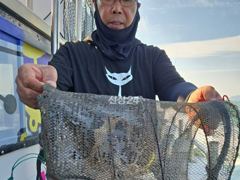 23일 군산샤크호 오늘도대박쭈조황 25일갑오징어자리여유