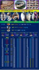 ♥붉바리들 이정도는 잡아봐야지요 대박 붉바리조황입니다 [2026년09월23일] ◎ 해마루호가 뜨는이유? 조황때문이죠 ◎ 핵심포인트: 바로진입.. 바로히트.. ◎ 차원이 다른 조황...