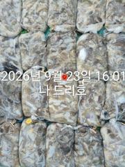 23일, 군산쭈꾸미,갑오징어도 함게~오늘도 굿조황~~군산낚시프라자 나드리호