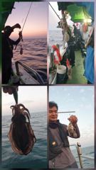 23일 뉴프린스호 쭈꾸미 갑오징어 조황입니다