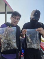 [시간낚시]9월23일인천배낚시덕적호쭈갑조황사진1부